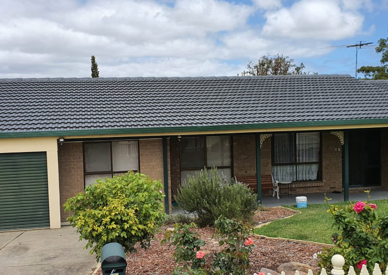 Roof Cleaning