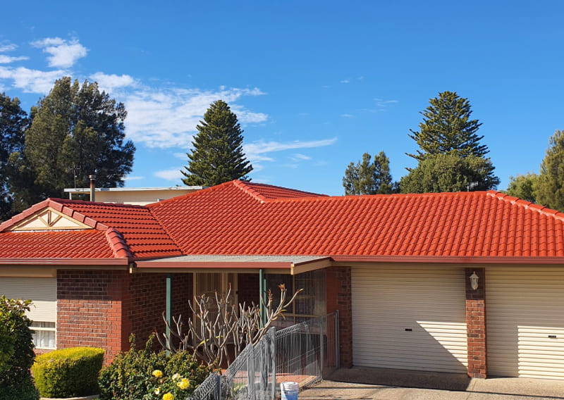 Moss growth on Adelaide roof tiles requiring professional cleaning and restoration