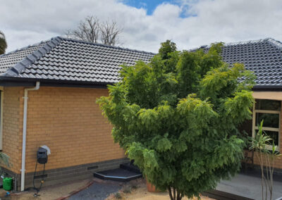 Morphett-Vale-7-scaled-1